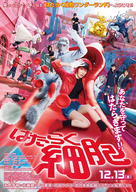 柚子视频《工作细胞 真人版 はたらく細胞》免费在线观看