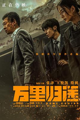 柠檬导肮《万里归途》免费在线观看