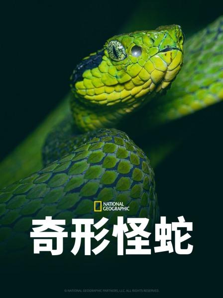 柠檬导航《奇形怪蛇》免费在线观看